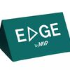 Edge Positioning Wedge Small